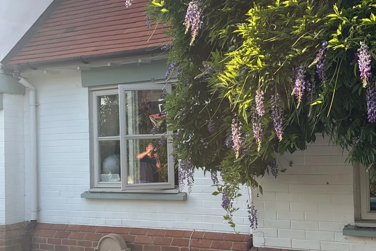 Wisteria Garden & Pool